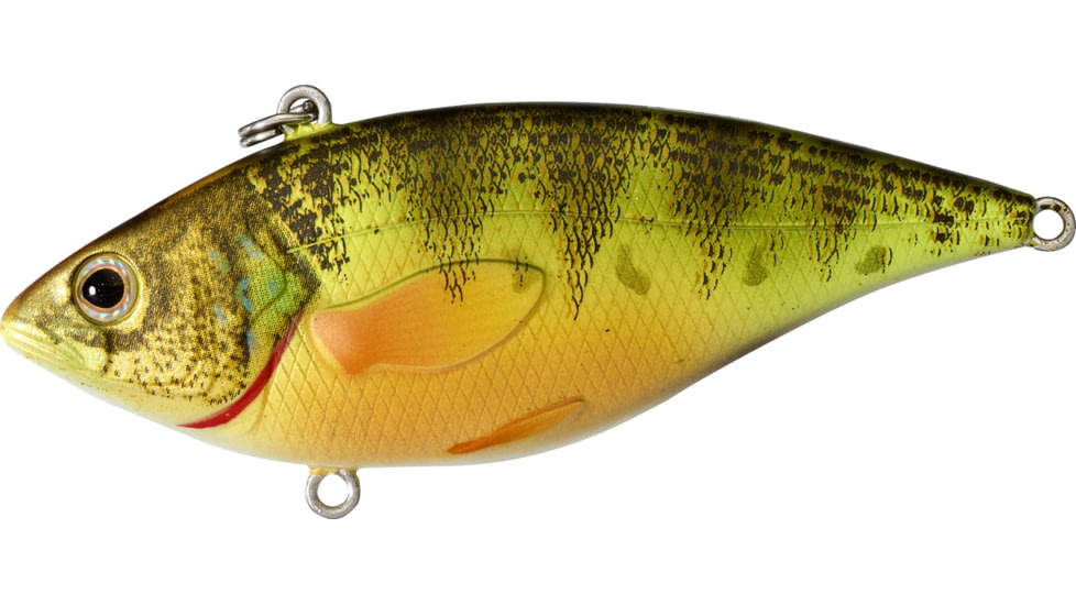 Live Target Yellow Perch Rattlebait