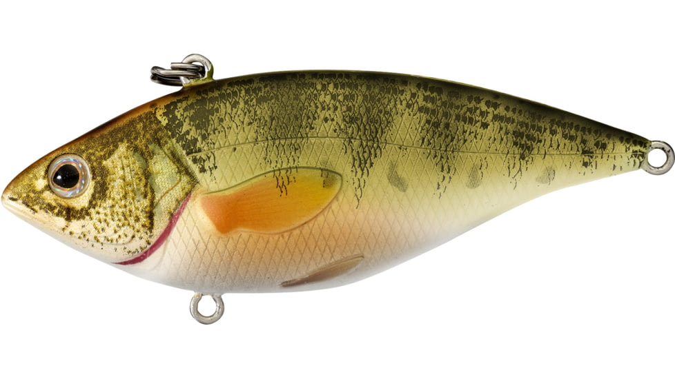 Live Target Yellow Perch Rattlebait