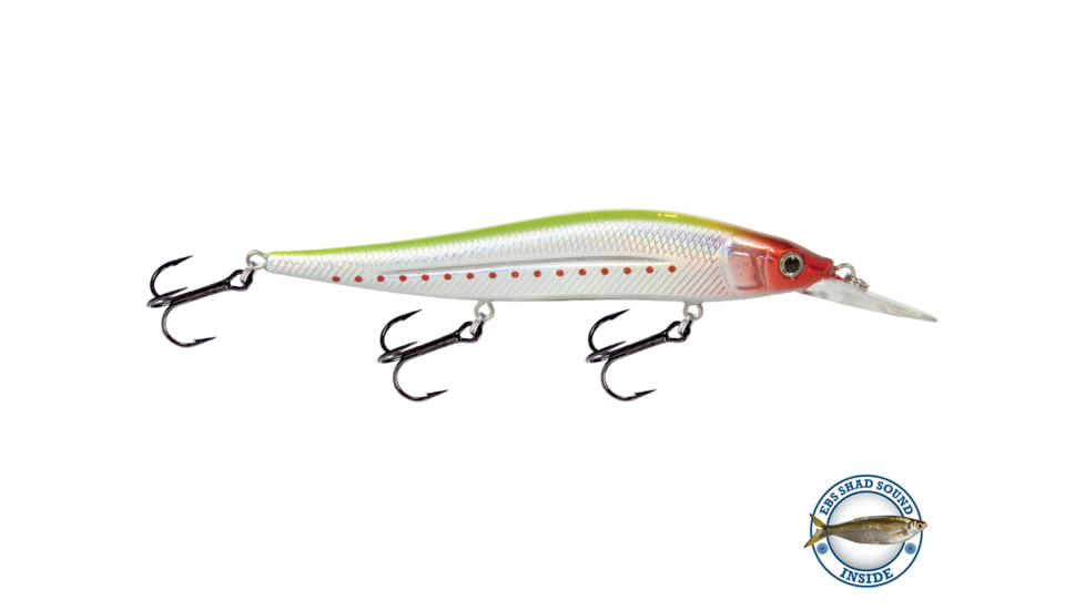 Livingston Lures JerkMaster 121D Lure, Money Clown, 3564