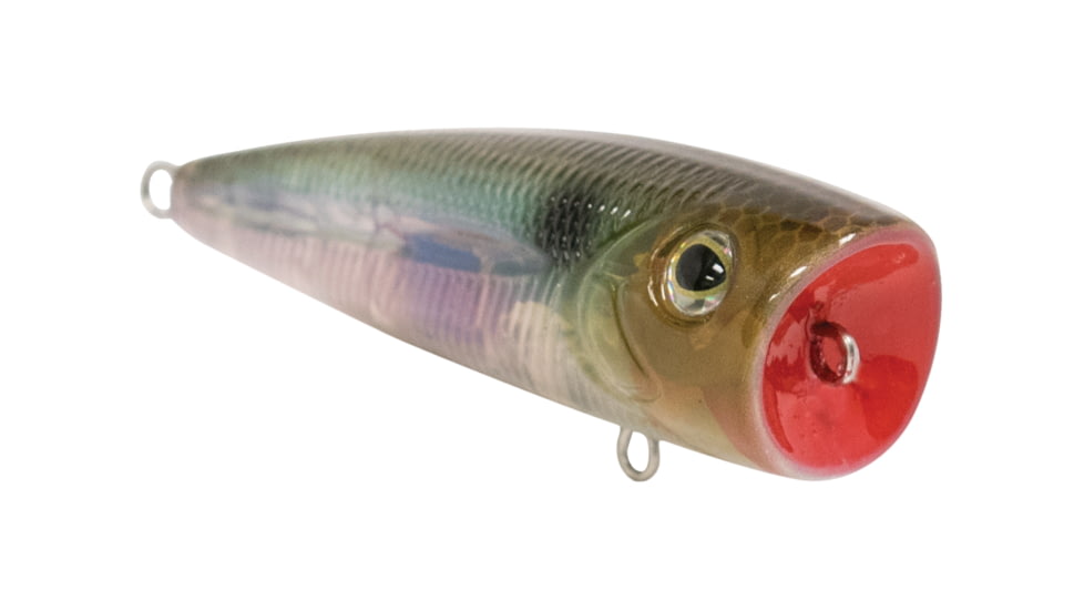 Livingston Lures Walk N Pop 67 Lure, Ghost Gizzard Shad, 5339