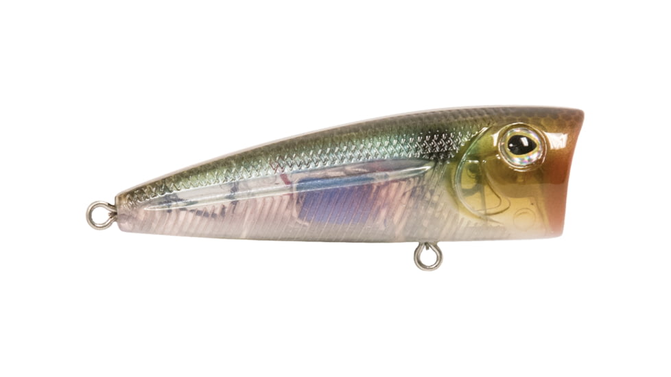 Livingston Lures Walk N Pop 67 Lure, Ghost Gizzard Shad, 5339