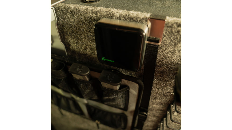 Lockdown Puck Monitoring Device, Black/Silver, 1099416