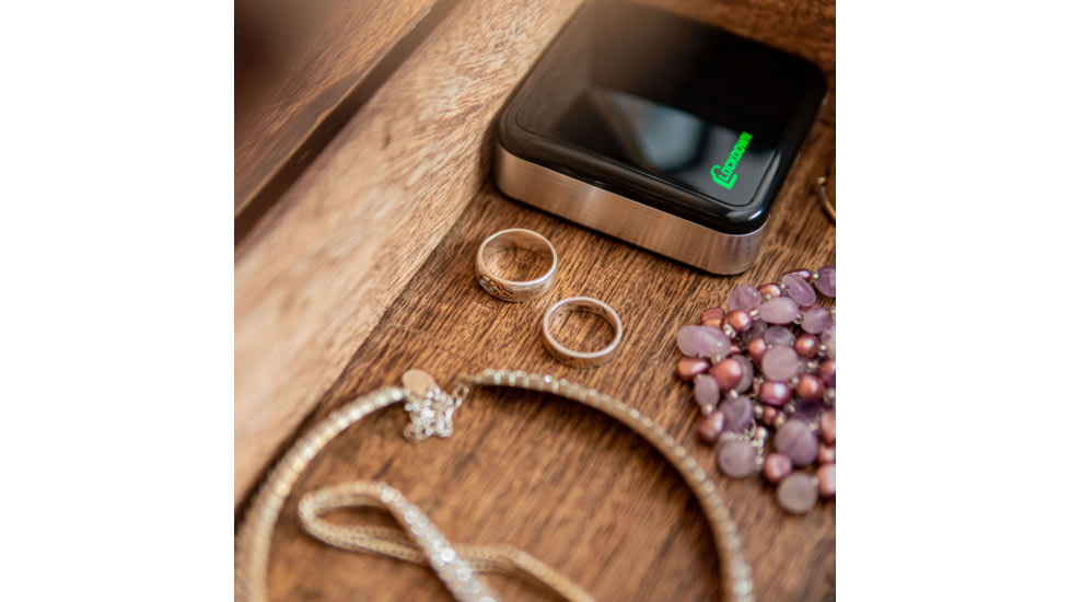 Lockdown Puck Monitoring Device, Black/Silver, 1099416