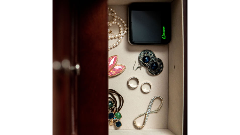 Lockdown Puck Monitoring Device, Black/Silver, 1099416