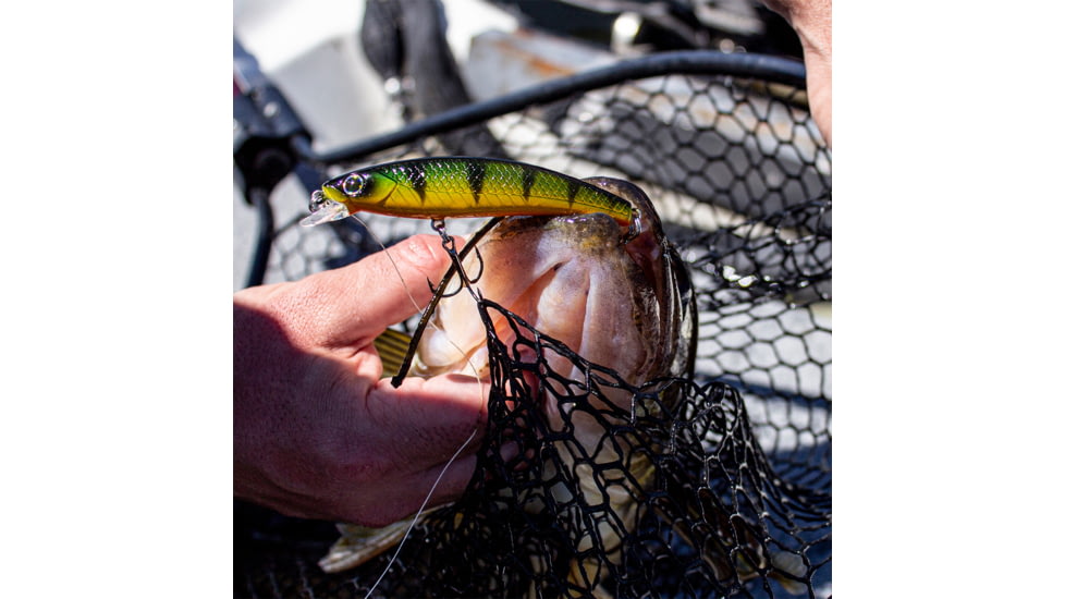 Lunkerhunt Impact Distress 6F Bait, Jumbo, 3.5in &amp; 1/2 oz, IMJKB04