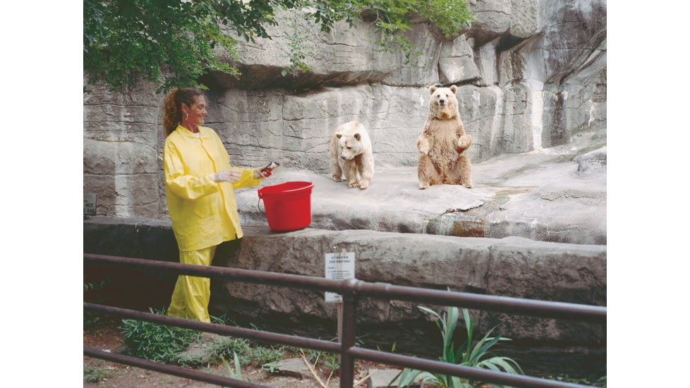 MCR Safety Zodiac Series Lightweight 3 Piece Waterproof Rain Suit, .10mm Single Ply PVC, Rain Jacket, Detachable Hood and Bib Pants, Yellow, 4X, O503X4