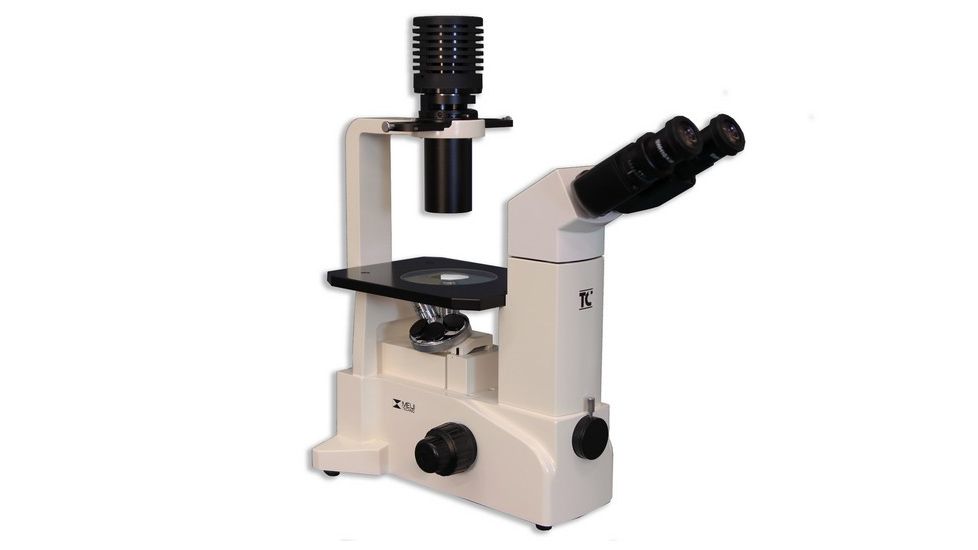 Meiji Techno Binocular Inverted Brightfield/Phase Contrast Biological Microscope, TC-5300