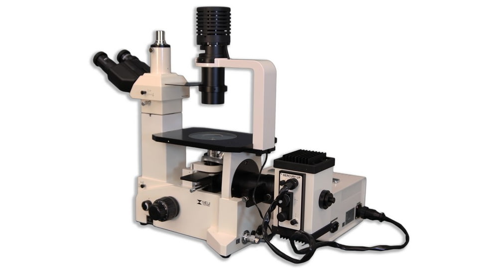 Meiji Techno Trinocular Inverted Epi-Fluorescence Biological Microscope, TC-5600