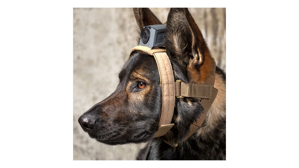 MOHOC K9 Mount, Black, One size fits all MH-K9BK
