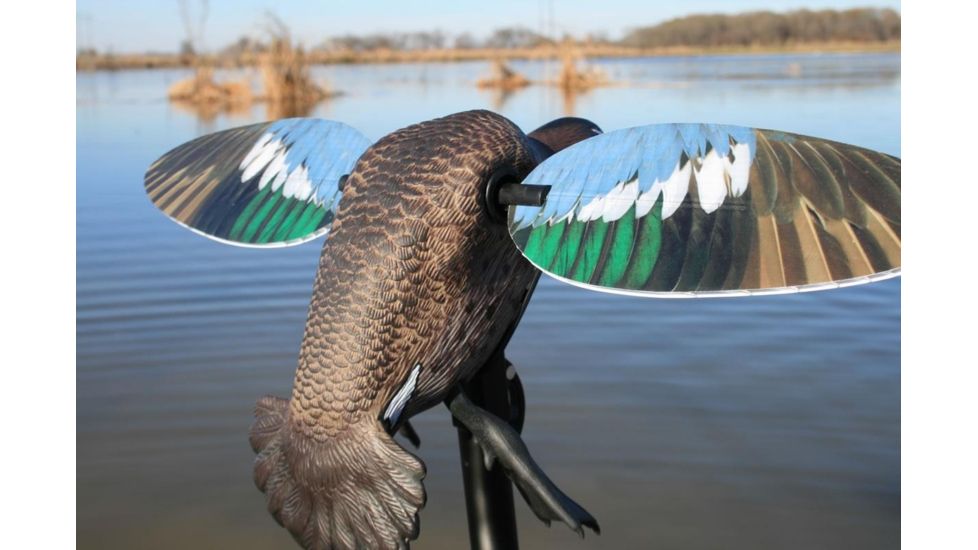 Mojo Blue Wing Teal, Elite Series HW2475