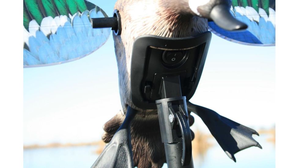 Mojo Blue Wing Teal, Elite Series HW2475