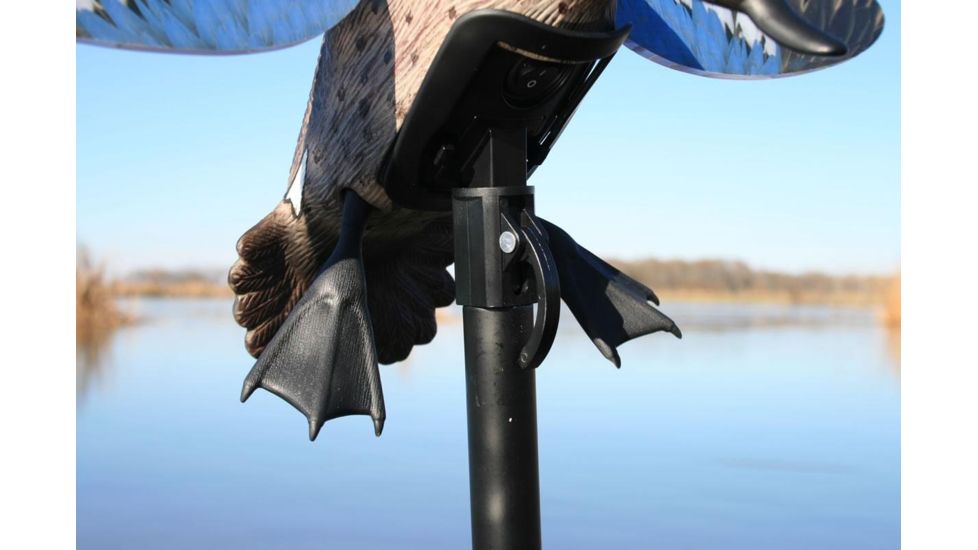 Mojo Blue Wing Teal, Elite Series HW2475