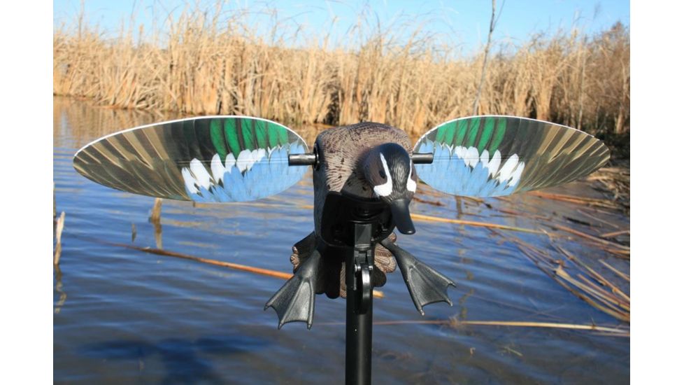 Mojo Blue Wing Teal, Elite Series HW2475