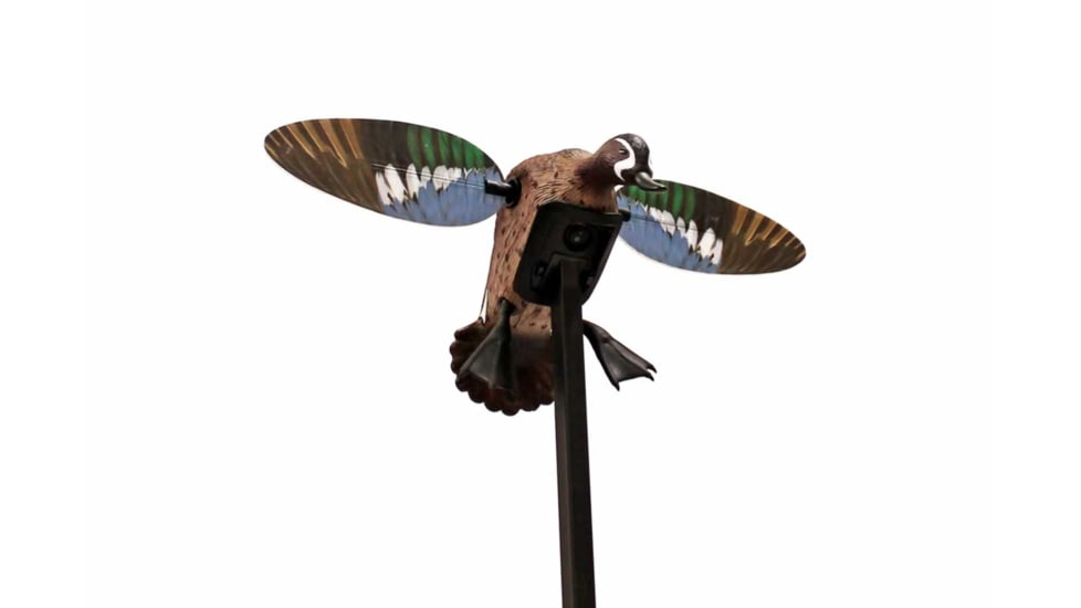 Mojo Blue Wing Teal, Elite Series, HW2475