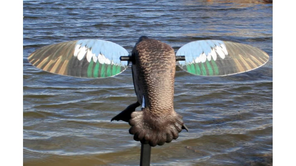 Mojo Blue Wing Teal, Elite Series, HW2475