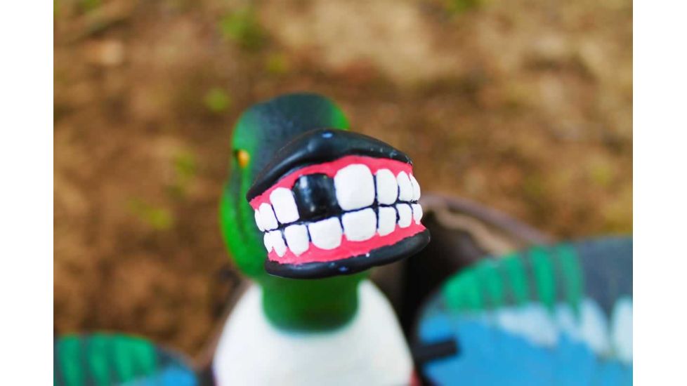 Mojo Elite Series Spoonzilla Mallard Drake Decoy