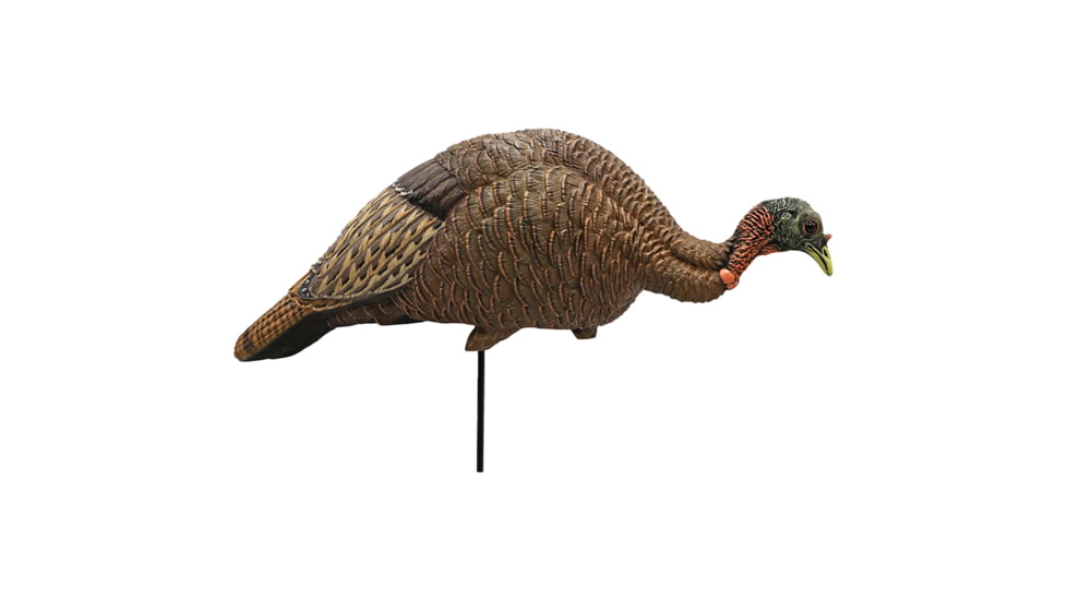 Mojo MOJO Feeder Breeder Hen Turkey Decoy, Brown, HW2539