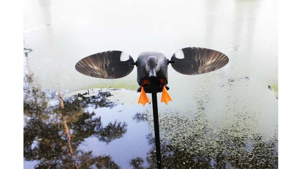 Mojo Gadwall Decoy, Elite Series, HW2473