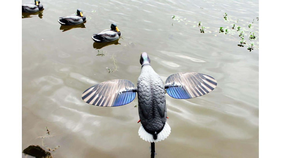 Mojo King Mallard Drakes Decoy, HW2520