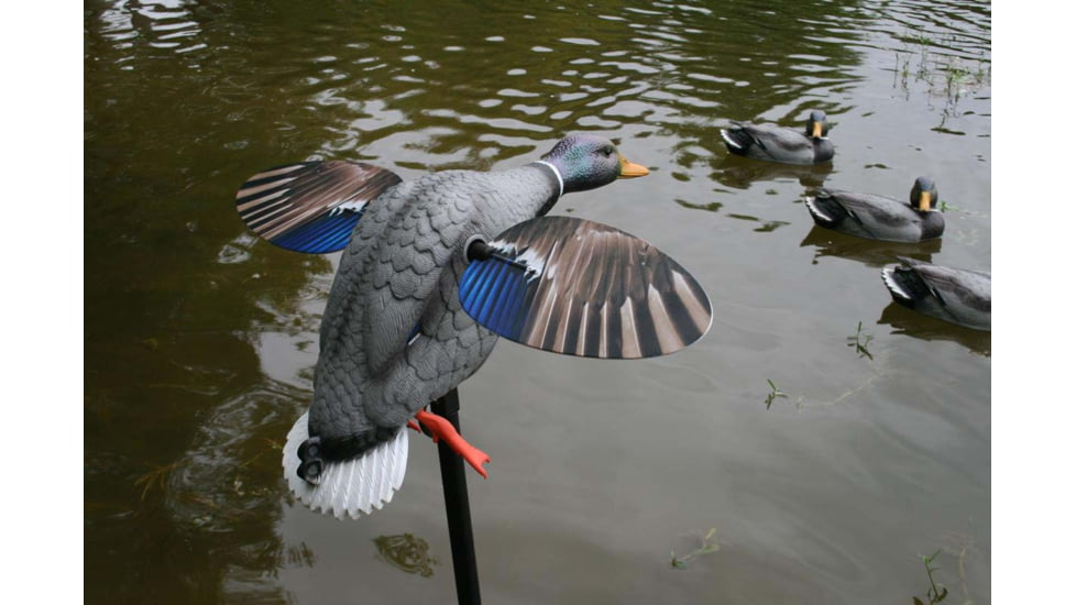 Mojo King Mallard Drakes Decoy, HW2520