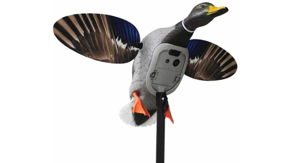 Mojo King Mallard Drakes Decoy, HW2520