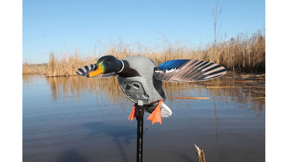 Mojo Mini Mallard Drake Decoy, Elite Series HW2470