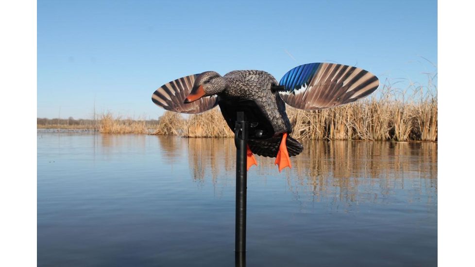 Mojo Mini Mallard Hen Decoy, Elite Series HW2471