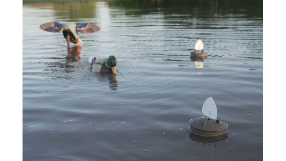 Mojo Outdoors Flock a Flocker 2, Brown/White, HW2531