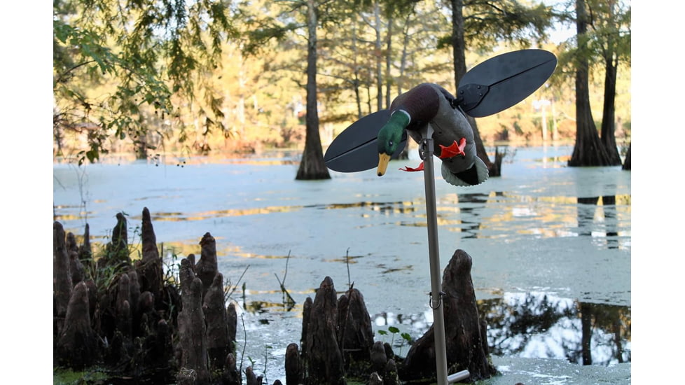 Mojo Outdoors HW2533 Mallard Drake Multi Color Features Remote Control