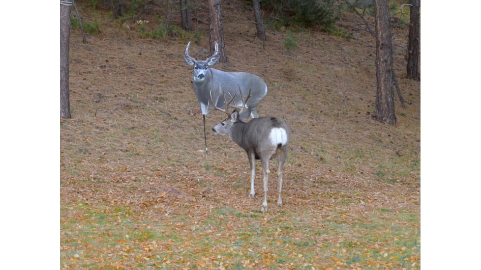 Montana Decoy Co. Muley Buck Decoy