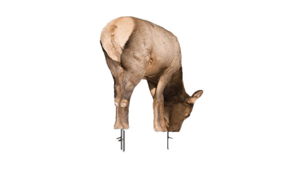 miss september decoy, brown