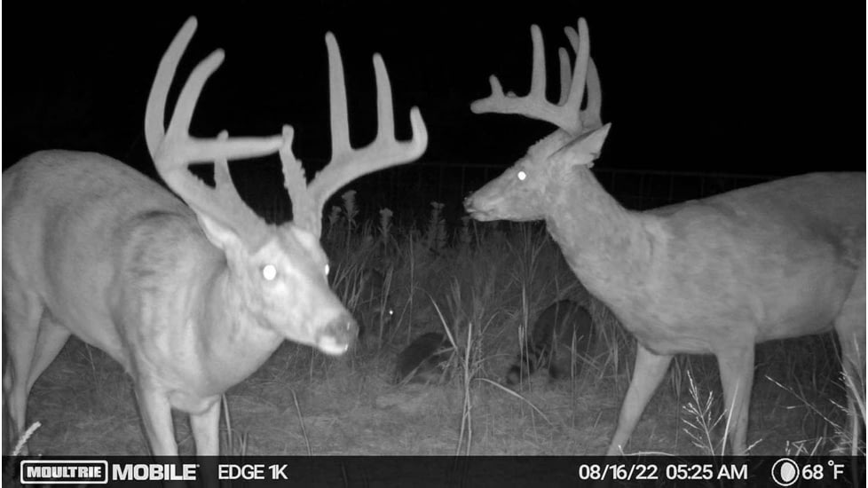Moultrie Edge 2