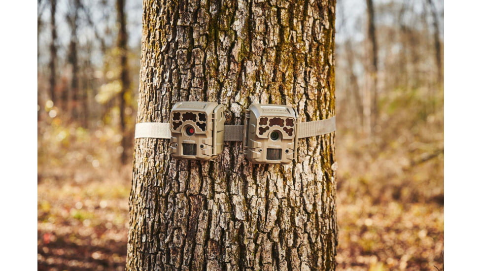 Moultrie Feeders Micro-32i Kit, 2 Pack, Green, MCG-14074