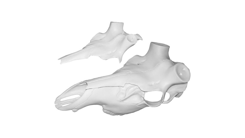 Mountain Mike's Elk SkullMaster, Universal Kit MMR ESM