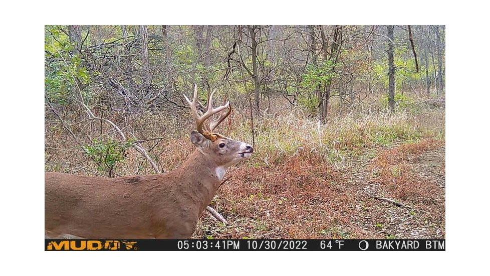 Muddy Matrix Cellular Hunting Trail Camera, 36MP, 1080P, Photo&amp;Video, Cracked Mud Camo, Cracked Mud Camo, MUD-MTRX