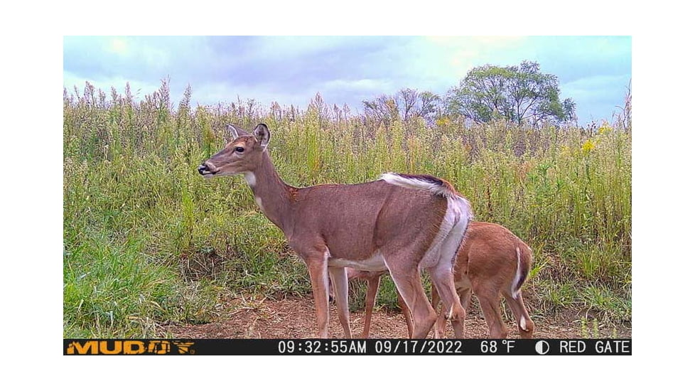 Muddy Matrix Cellular Hunting Trail Camera, 36MP, 1080P, Photo&amp;Video, Cracked Mud Camo, Cracked Mud Camo, MUD-MTRX