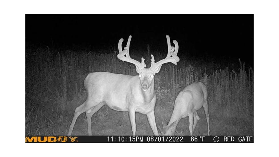 Muddy Matrix Cellular Hunting Trail Camera, 36MP, 1080P, Photo&amp;Video, Cracked Mud Camo, Cracked Mud Camo, MUD-MTRX