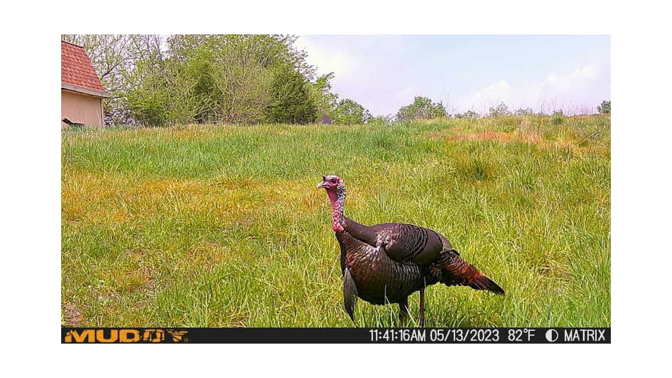 Muddy Matrix Cellular Hunting Trail Camera, 36MP, 1080P, Photo&amp;Video, Cracked Mud Camo, Cracked Mud Camo, MUD-MTRX