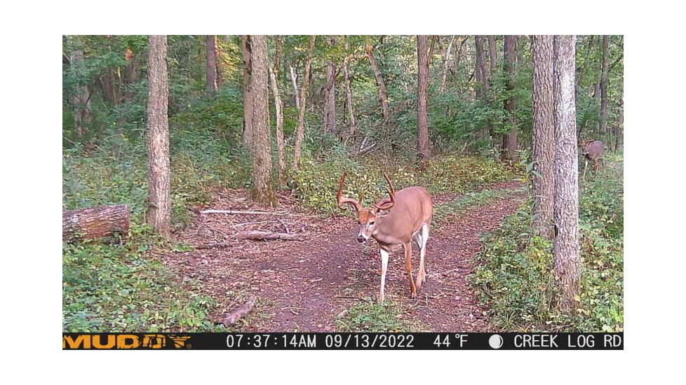 Muddy MUD-MTGTR Brown