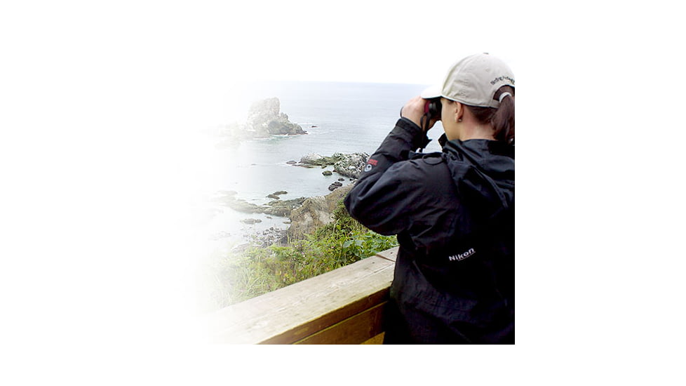 NEW Nikon Aculon 8-24x25mm Zoom Binocular, Red 7335