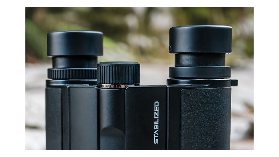 Nikon STABILIZED 12x25mm S Roof Prism Binoculars, Black, 16783