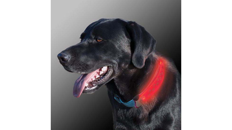 Nite Ize Nite Dawg LED Collar Cover - Pink NDCC-03-12