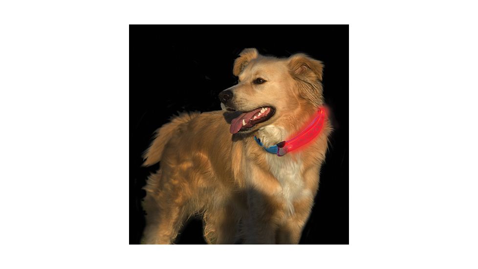 Nite Ize Nite Dawg LED Collar Cover - Pink NDCC-03-12