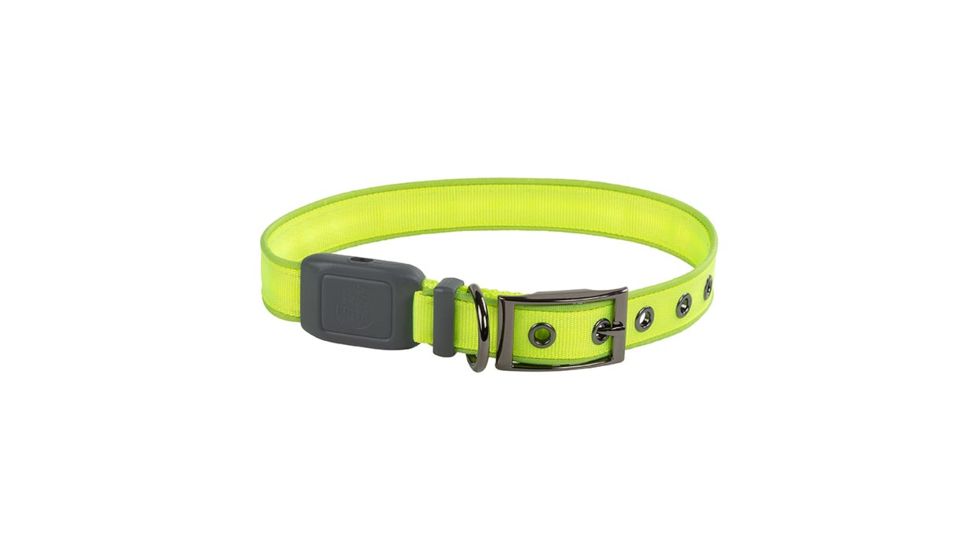 Nite Ize NiteDog Rechargeable LED Collar, Lime/Green, Large, NDCRL-17-R3