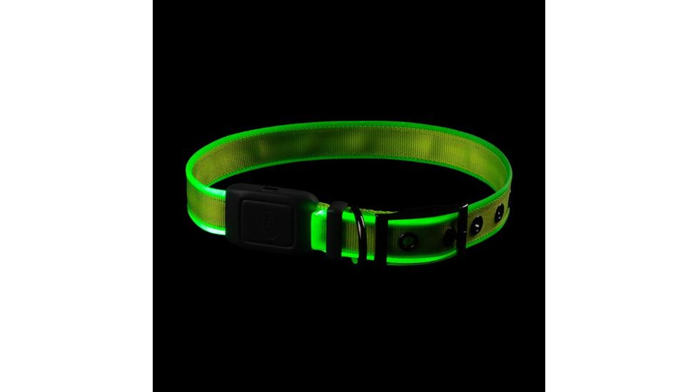 Nite Ize NiteDog Rechargeable LED Collar, Lime/Green, Large, NDCRL-17-R3