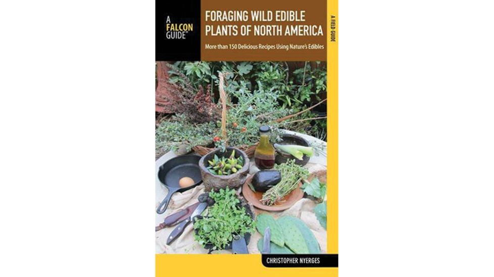 Ntl Book Network Foraging Wild Edible Plants Na 9781493005185
