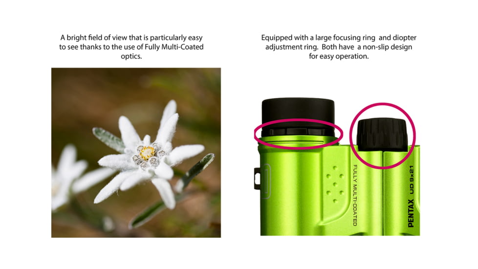 Pentax UD 9 X 21mm Black Compact Roof Prism Binoculars, Black, Medium, 61811