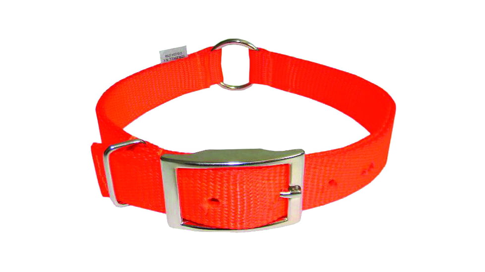 Pete Rickard Hunter's Safety Orange Collar