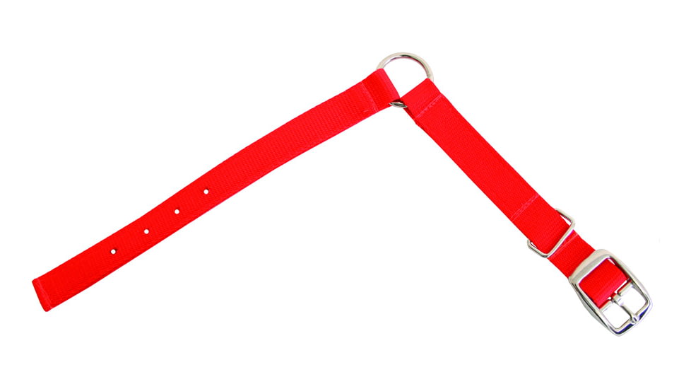 Pete Rickard Hunter's Safety Orange Collar