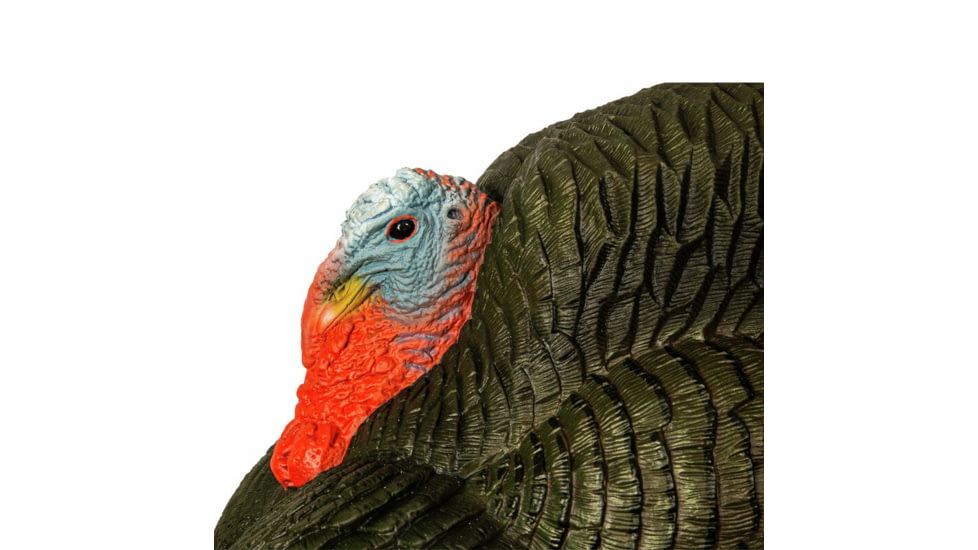 Primos Hunting Lil Gobbstopper Strutter Turkey Box Calls, 69076
